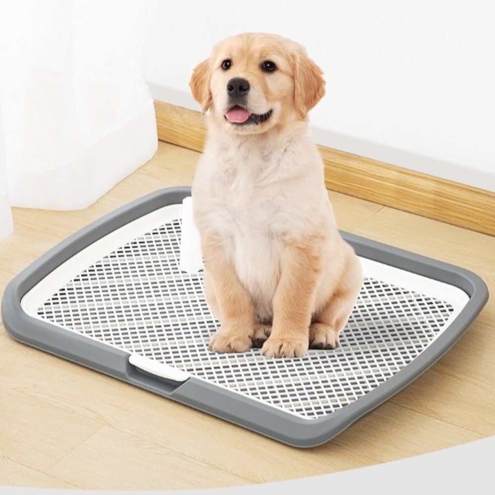 Splash-Proof Dog Training Toil - Sprinkler Splash Pad review and price
