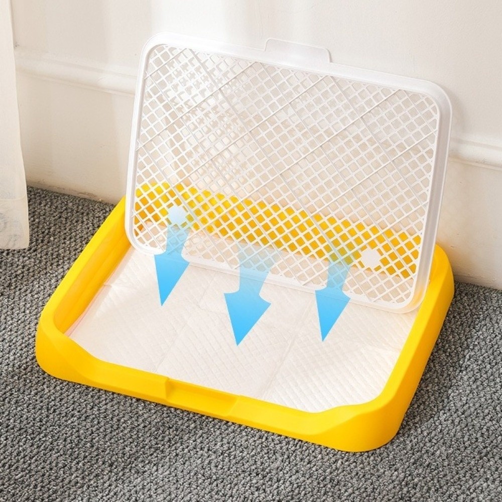 Splash-Proof Dog Training Toil - Sprinkler Splash Pad review and price